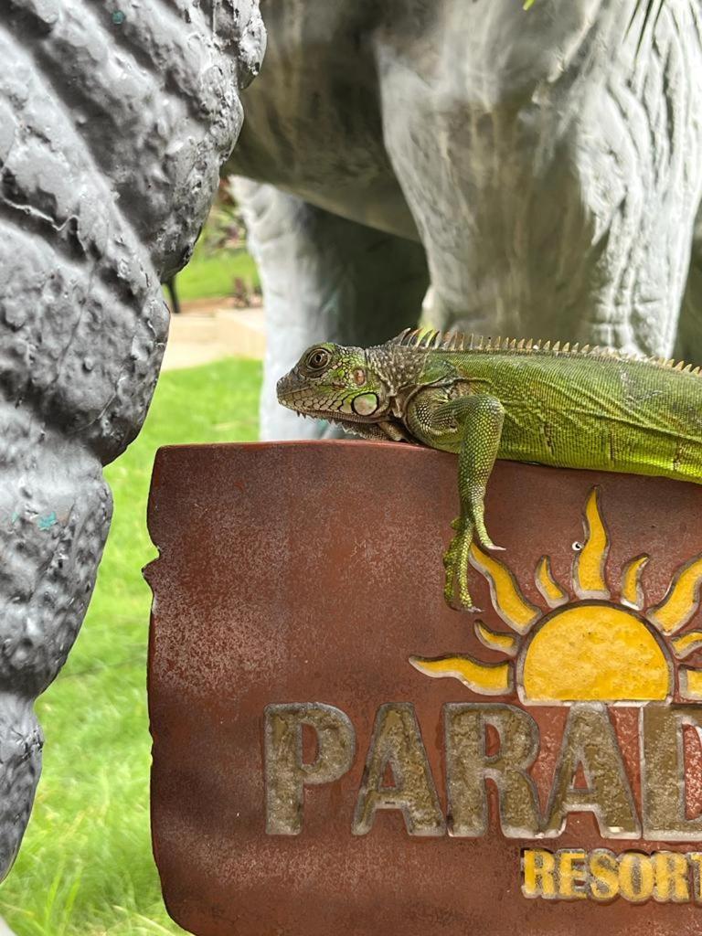 Paradise Resort Los Santos エクステリア 写真